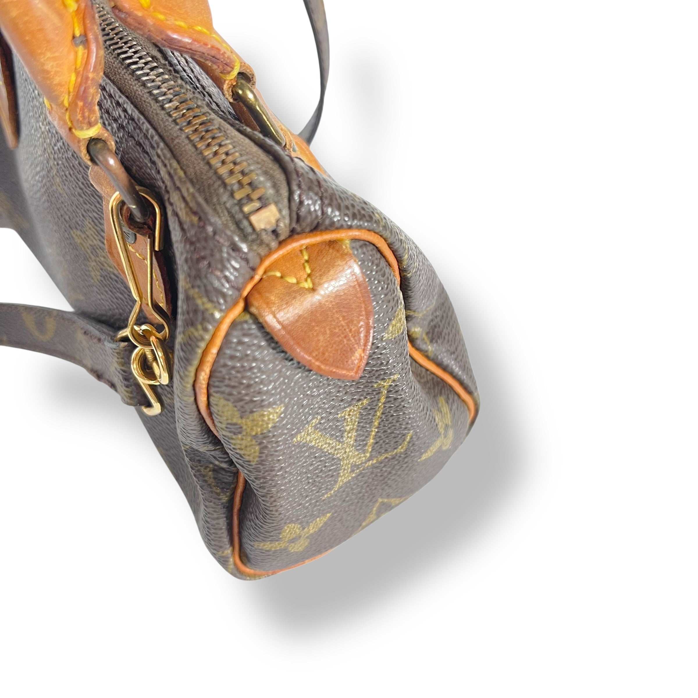 Louis Vuitton Mini Nano Speedy Monogram