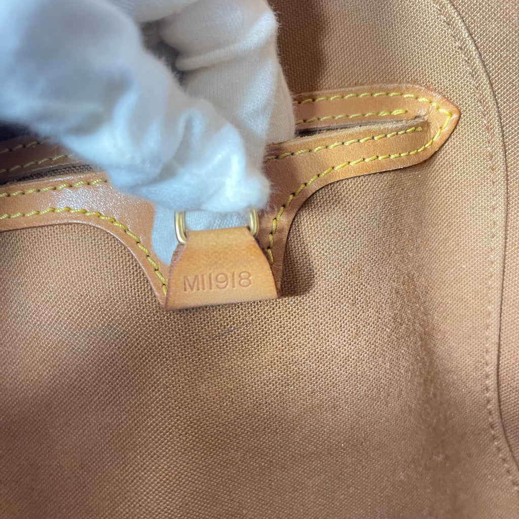 Louis Vuitton Ellipse MM Monogram Canvas